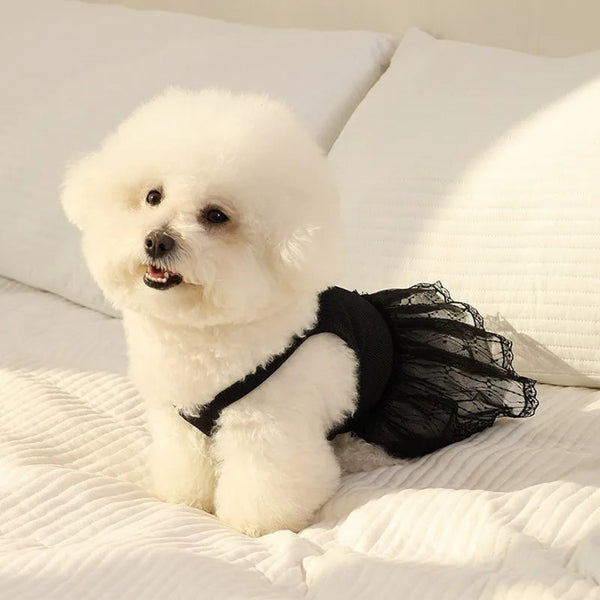 Bow Dog Princess Dress Dog Clothes Summer Black White Luxury Striped Skirt Dog Vest Chihuahua Bichon Yorkie Clothing for Dogs Pet Shop Pet Clothing