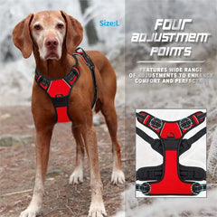 Dog Collars Harness Big Vests Leash Pet Shop Everything for Dogs Leather Puppy Accessories Medium Small Set Pet Shop