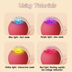 2PCS Smart Cat Rolling Ball Toys – Rechargeable Mouse Imitation Pet Shop