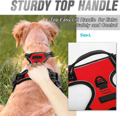 Dog Collars Harness Big Vests Leash Pet Shop Everything for Dogs Leather Puppy Accessories Medium Small Set Pet Shop
