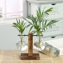 Glass Hydroponic Plant Terrarium Vase – Desktop Home Decor