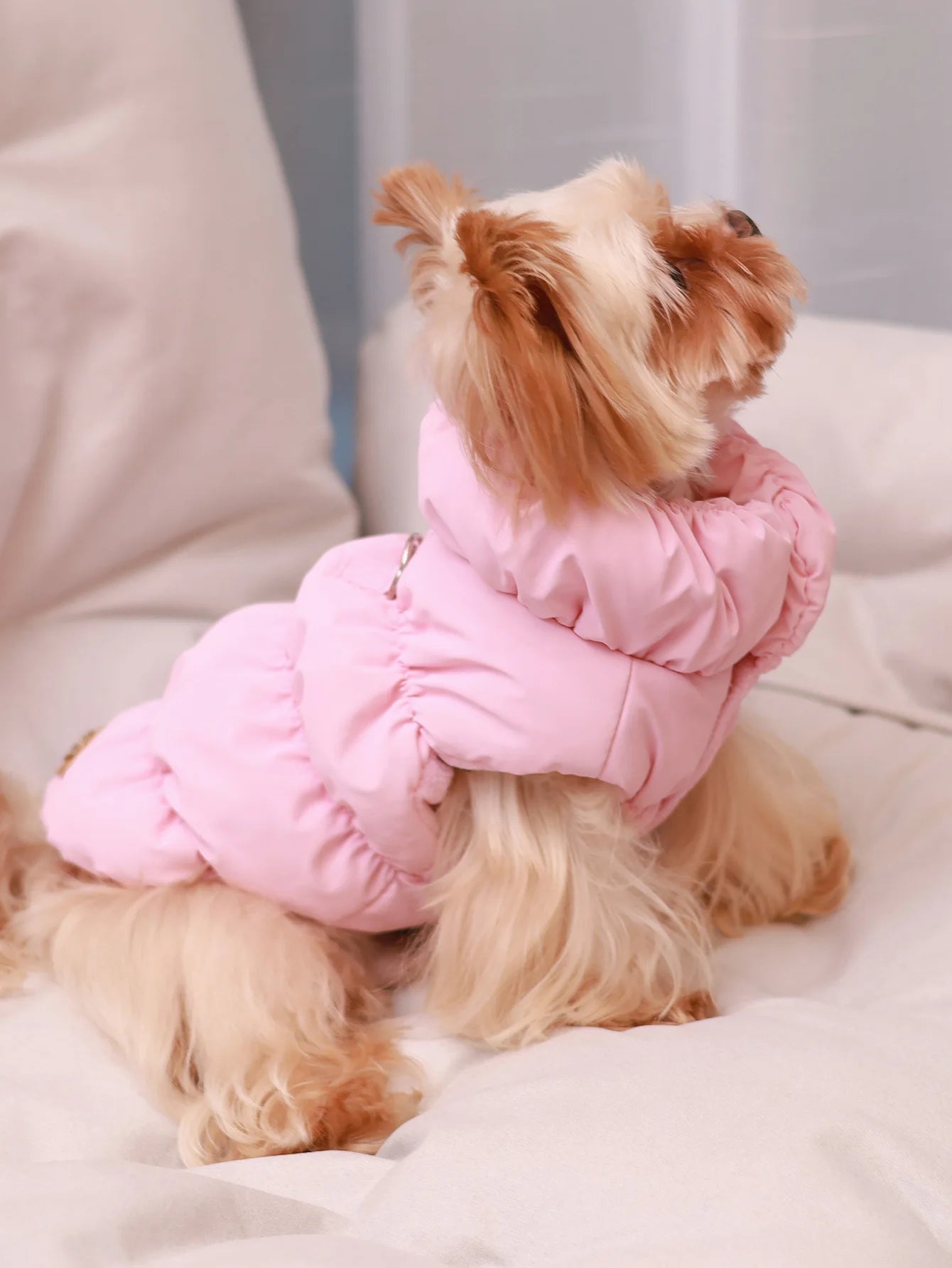 Dog Jacket For Autumn/Winter, Pet Coat, 3-Layer Thick Warm Outerwear, Suitable For Small To Medium Dogs Like Poodle, Teddy, York Pet Shop Pet Clothing
