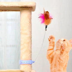 Cat Feather Collar Toy, Interactive Toys for Indoor Cats Self Play Funny Teaser Wand Neck Toy Feathers with Bell Pet Shop